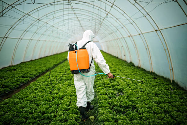 Best Best Pest Control Companies  in Seneca, SC