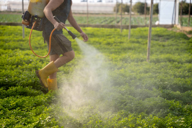 Best Best Pest Control Companies  in Seneca, SC