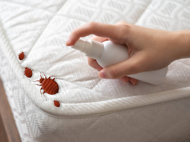 Best Pest Prevention Services  in Seneca, SC