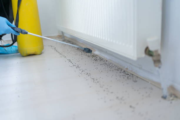Best Residential Pest Control  in Seneca, SC