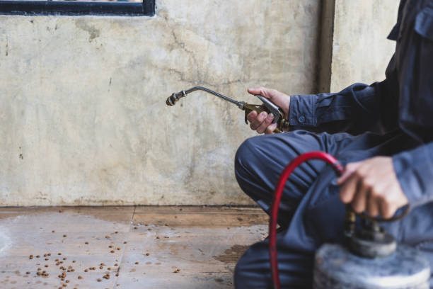 Best Exterminator Services  in Seneca, SC